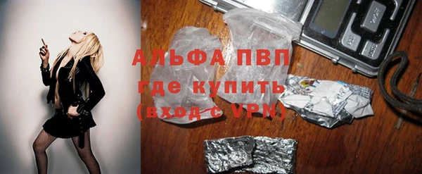 спиды Абаза