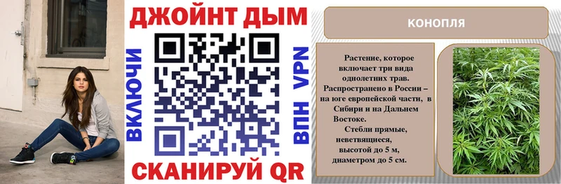 Бошки Шишки THC 21%  как найти   Людиново 